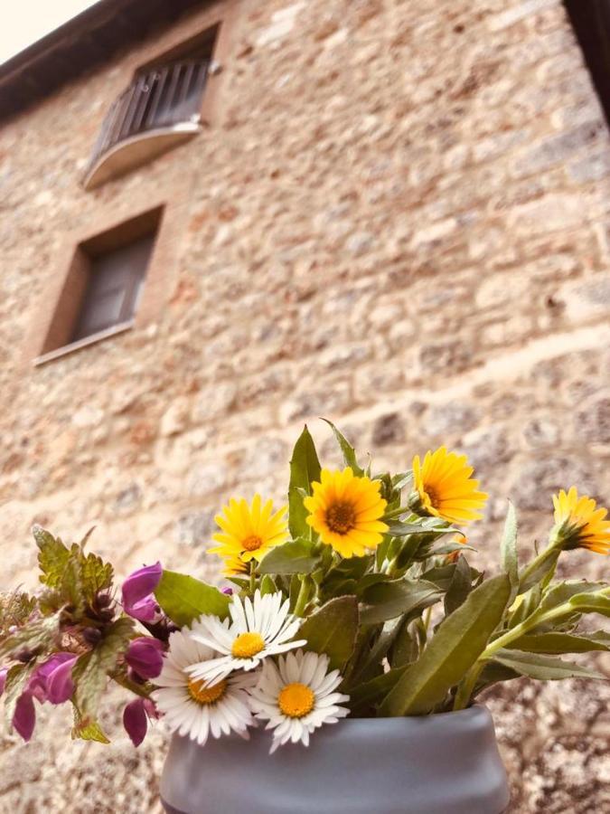 Torre Della Chiocciola Bed & Breakfast Monteriggioni Exterior photo