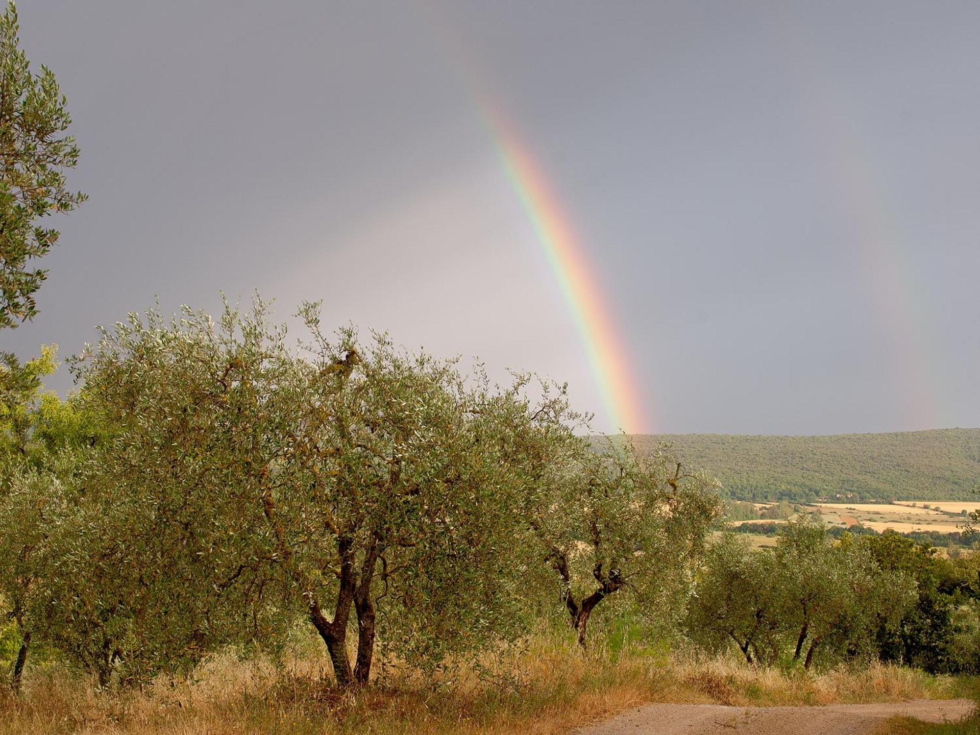 Torre Della Chiocciola Bed & Breakfast Monteriggioni Exterior photo